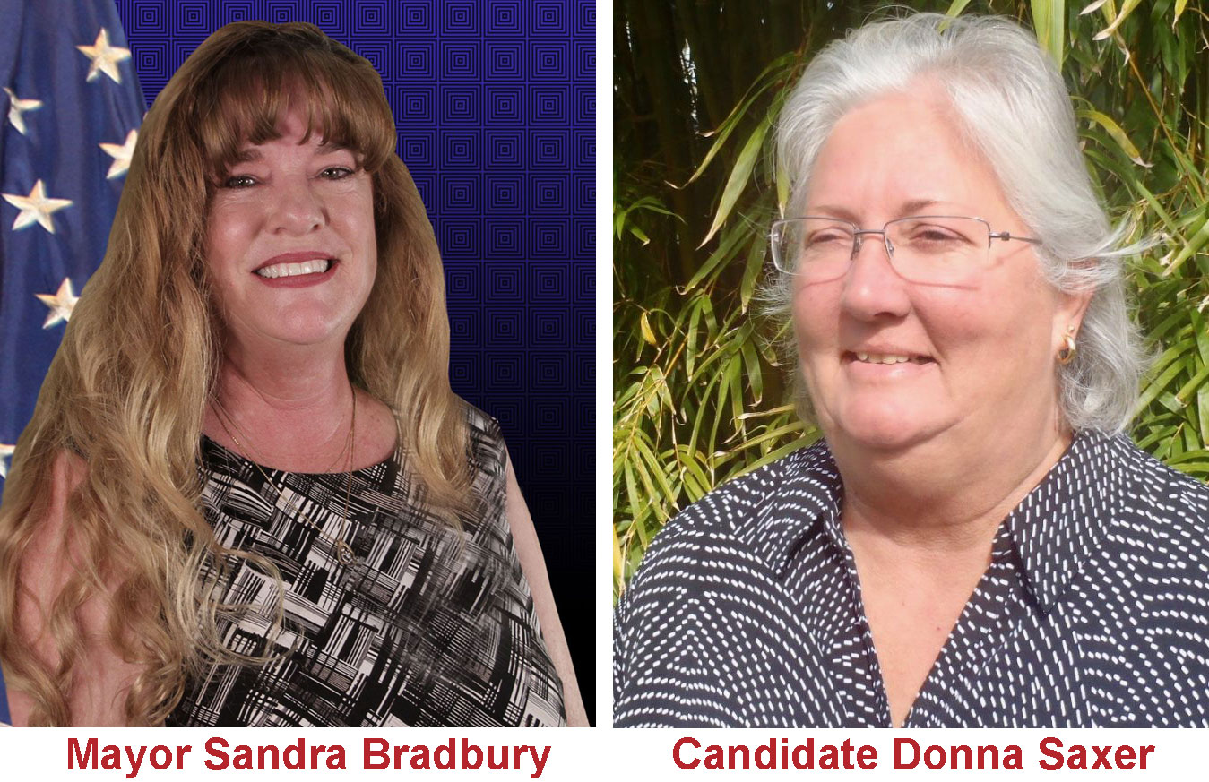 Pinellas Park mayoral election heats up, charges of abuse and dishonesty